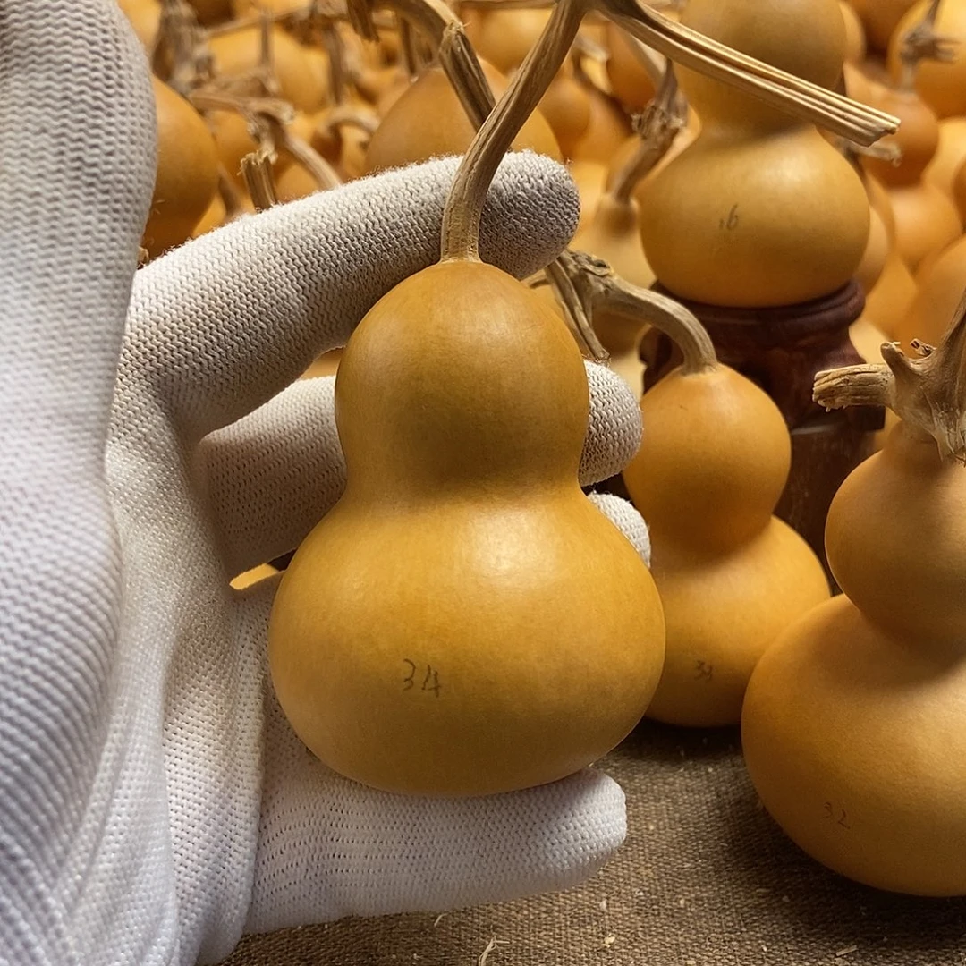 文玩葫芦 完美主义者 慎拍34