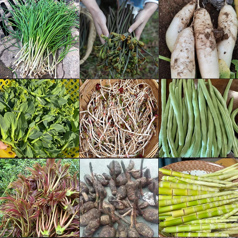 【村民代卖】农村蔬菜专用链接