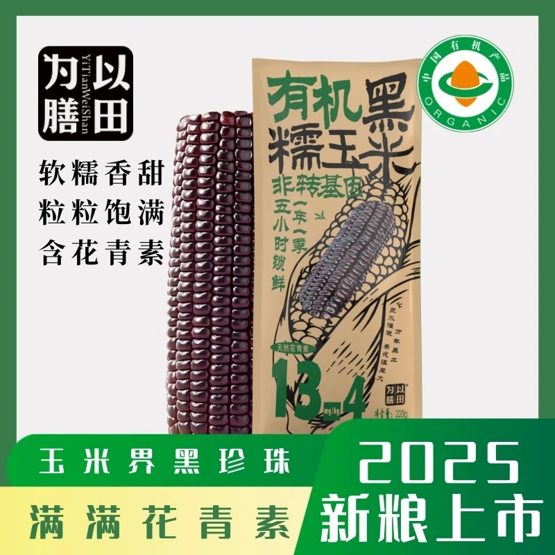 东北香甜有机糯玉米非转基因新鲜粘糯拉丝