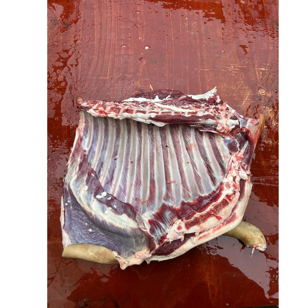 小刘云滇甄选-贵州小耳朵黑山羊羊腿带排