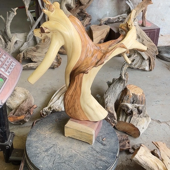 肠***肠崖柏崖柏崖柏崖柏崖柏崖柏