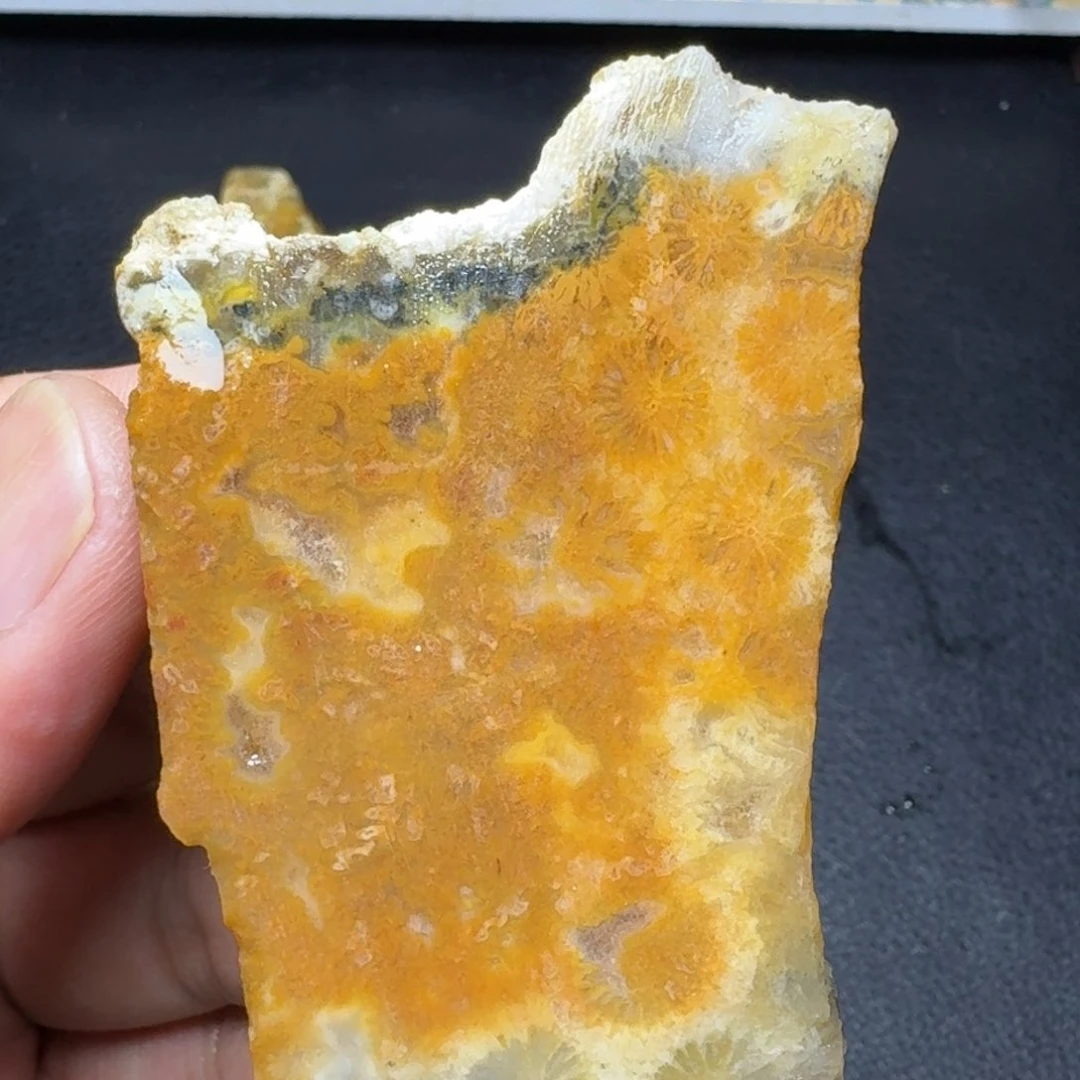 硅化玉纯天然色有机玉石保真原石片料未镶嵌