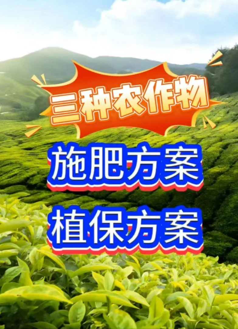 品牌效应农资资源联盟(一）
