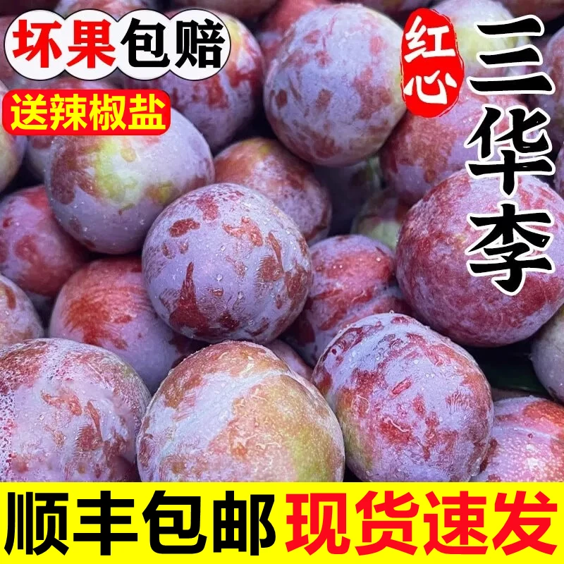 【顺丰包邮现货】当季新鲜水果红心三华李酸脆爽口适宜孕妇现摘现发