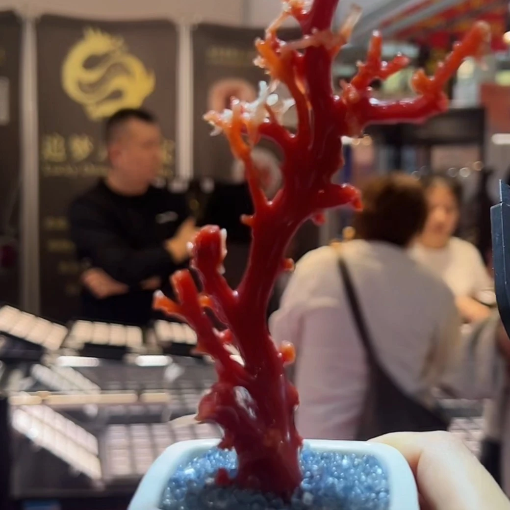 天然宝石红珊瑚摆件