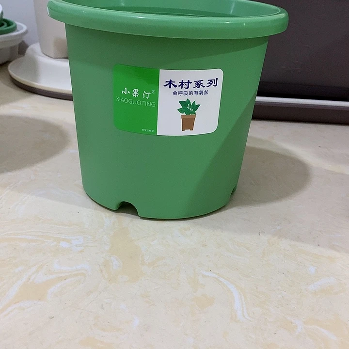 小果汀17口绿5个无托