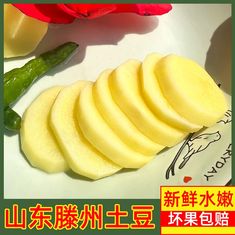 洋芋新土豆黄心农家黄皮马铃薯软糯当季新鲜蔬菜甘肃定西沙面