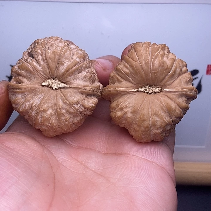 核桃44全品南瓜墩