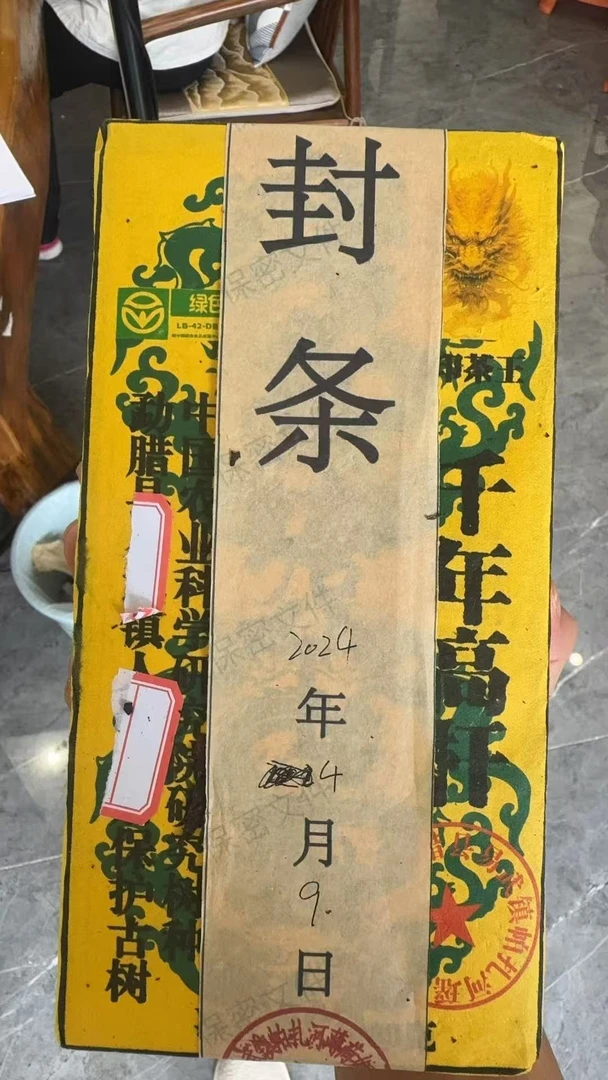 (雨微甄选)2024年薄荷塘龙印茶王生茶  1000克 1200号  9月27日