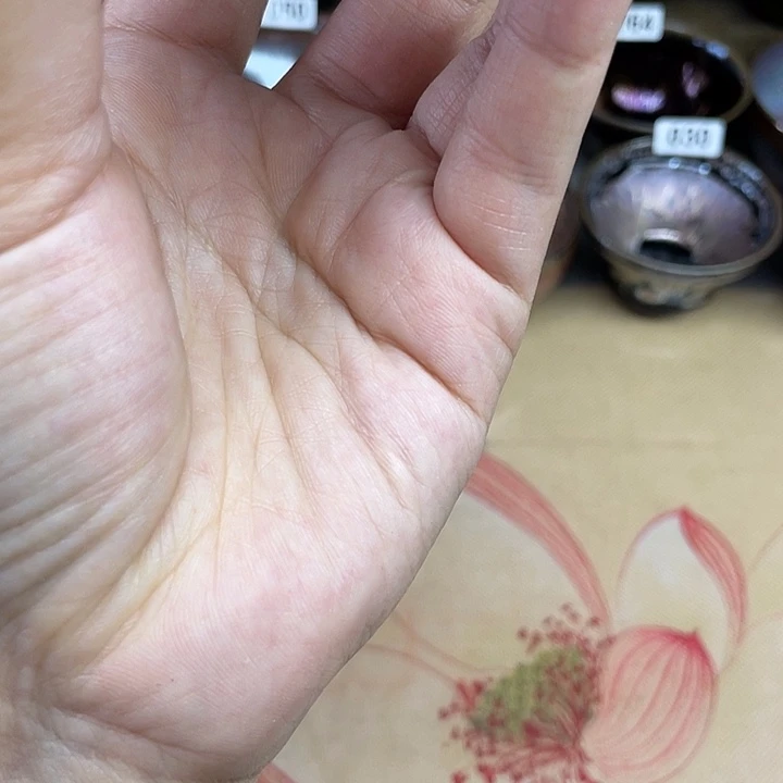 茶盏建盏建盏建盏