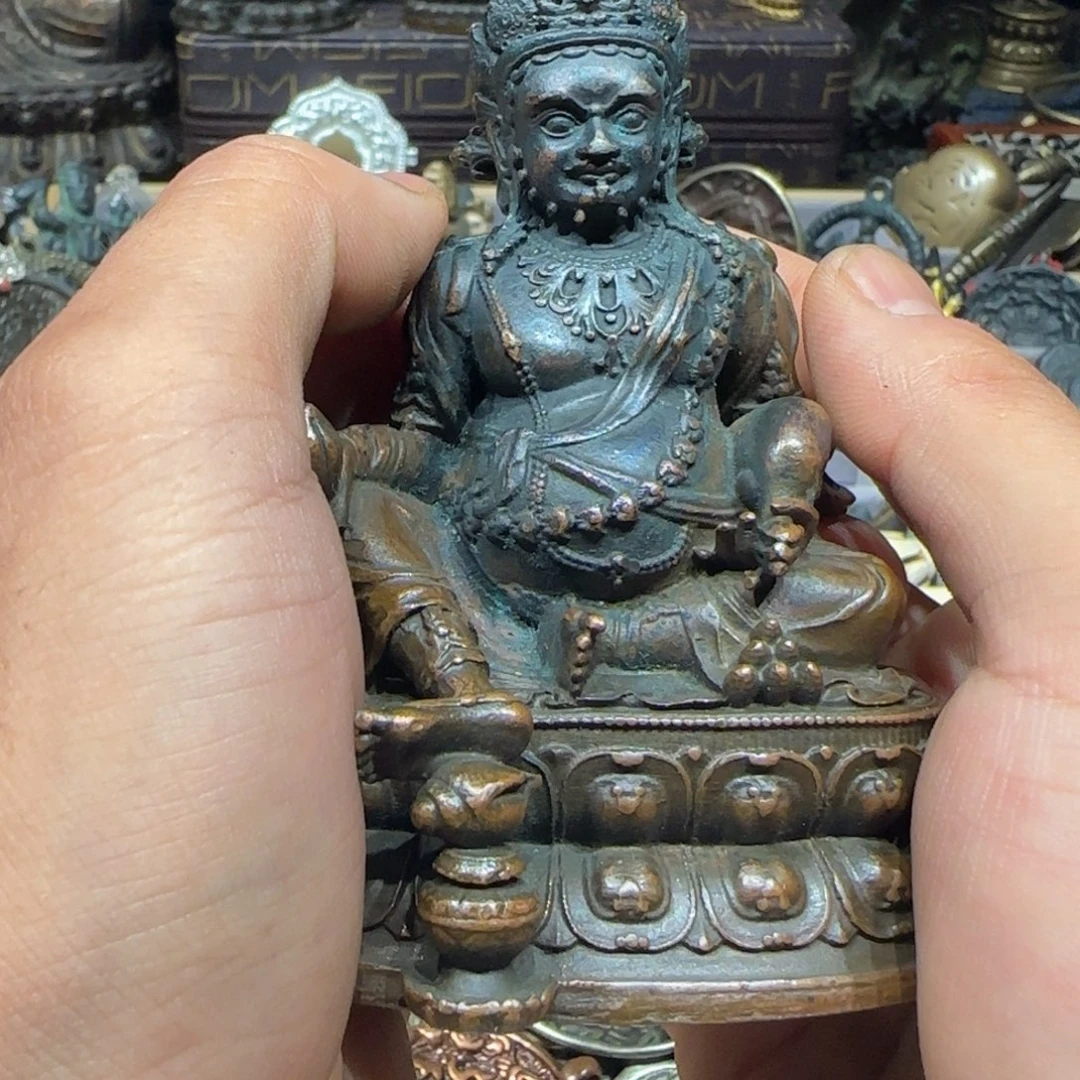 老老老老老老老老老露露