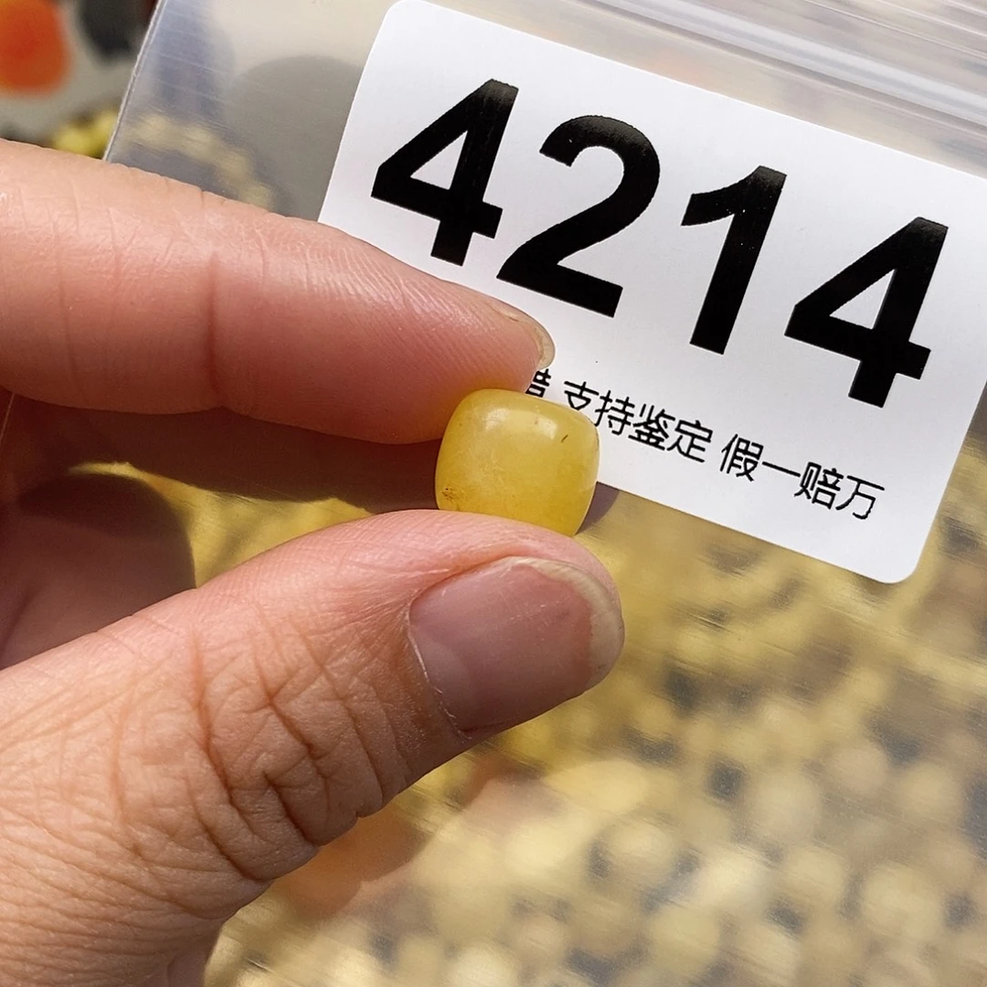 琥珀未镶嵌珠宝奇石11.3
