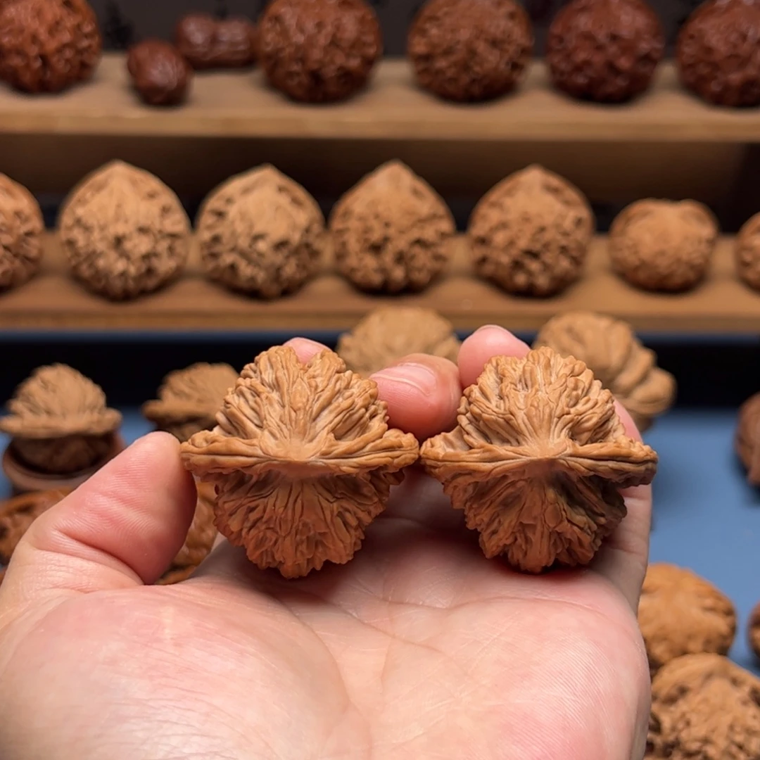 文玩核桃把件全品红皮麦穗虎头41尺毕业对