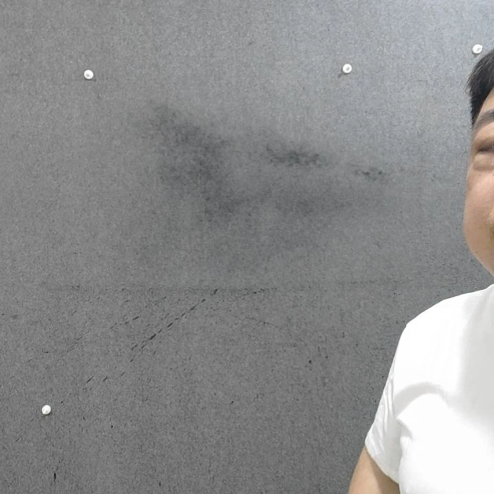 国画漳****林水墨写意马图四骏定制费