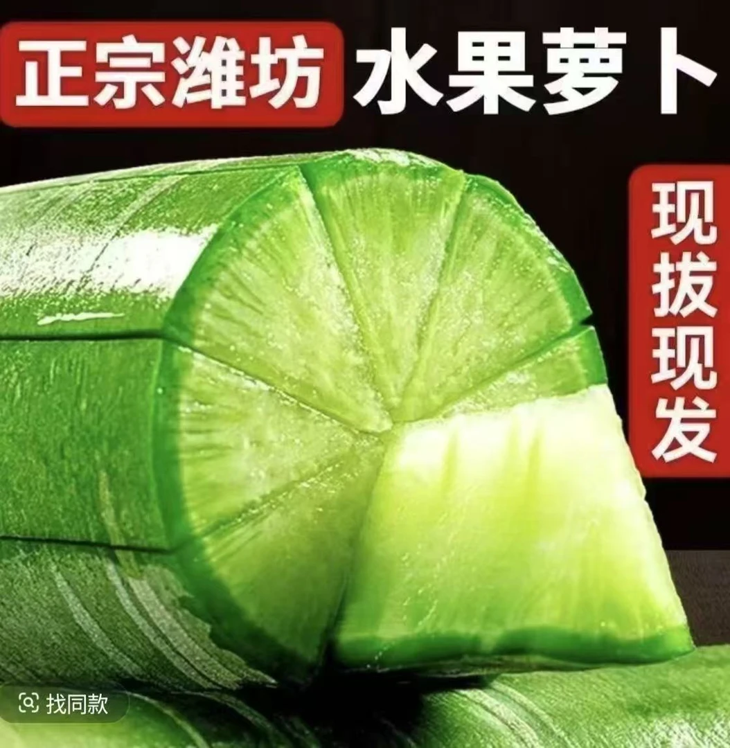 水果萝卜新鲜现挖脆甜爽口青萝卜当天产地现拔