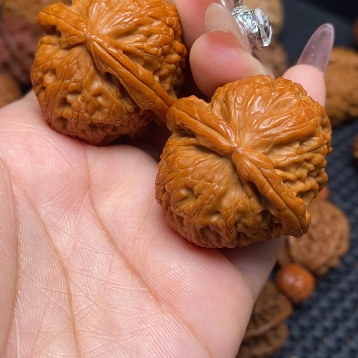 秦岭野生000000012