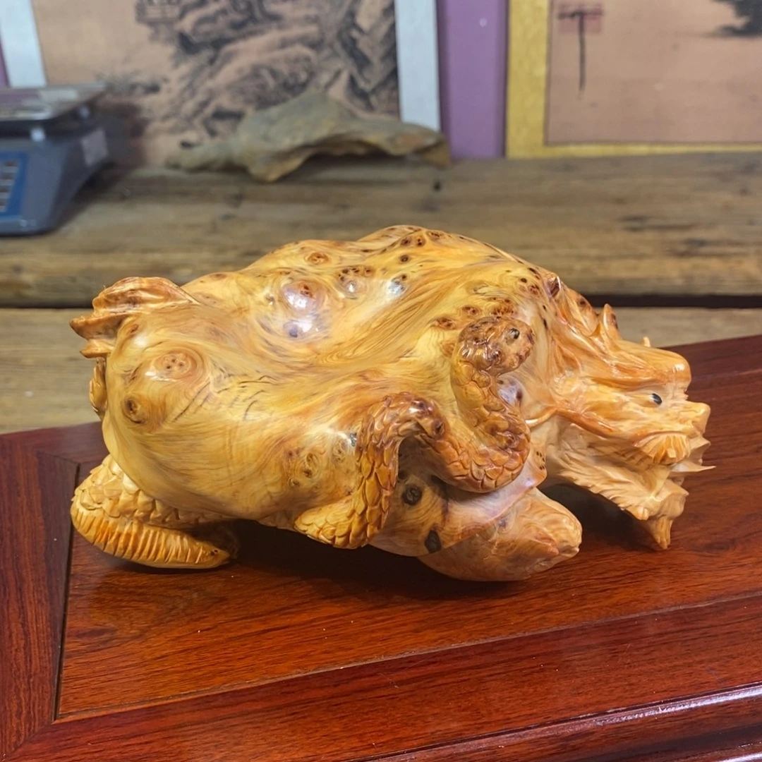 无***影柏木（崖柏）崖柏11111