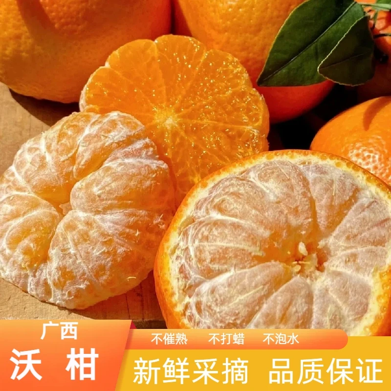 正宗广西武鸣沃柑当季鲜果清香甜多汁皮薄榨汁爆甜树上熟产地直发