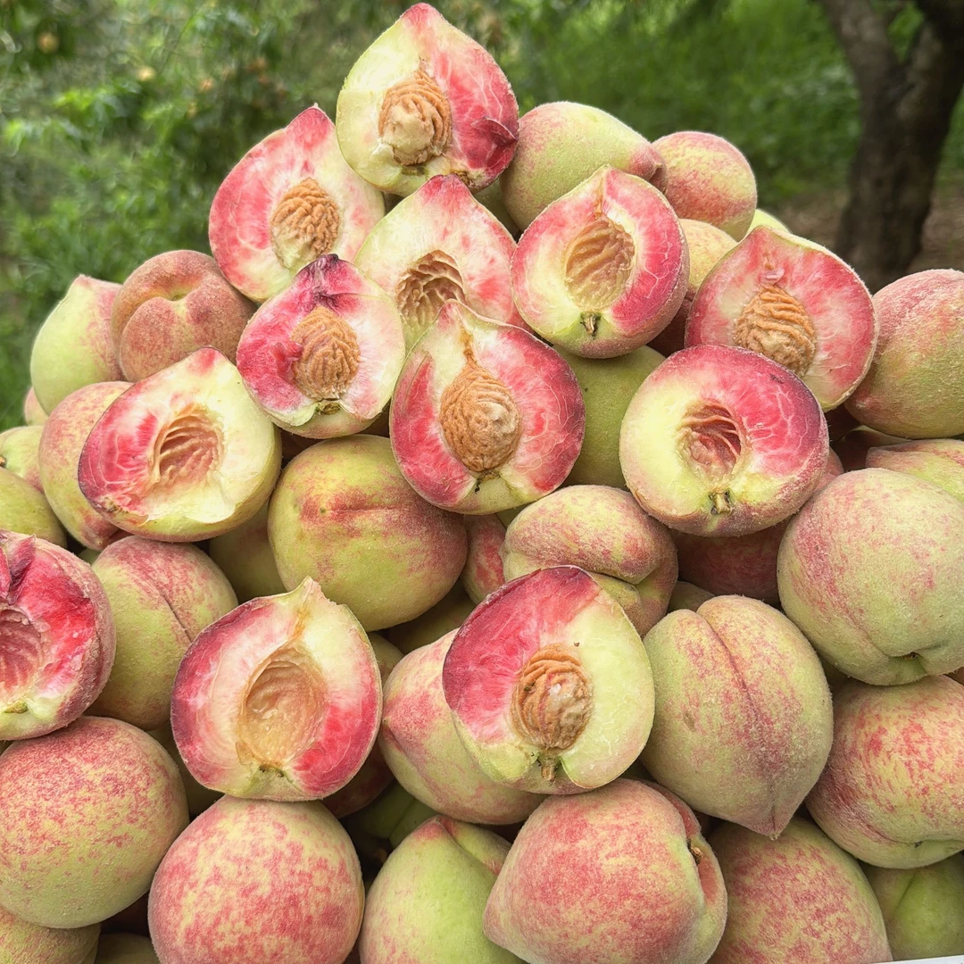 贵州老品种百花桃老树脆桃现摘现发新鲜脆甜坏果包赔  5斤包邮