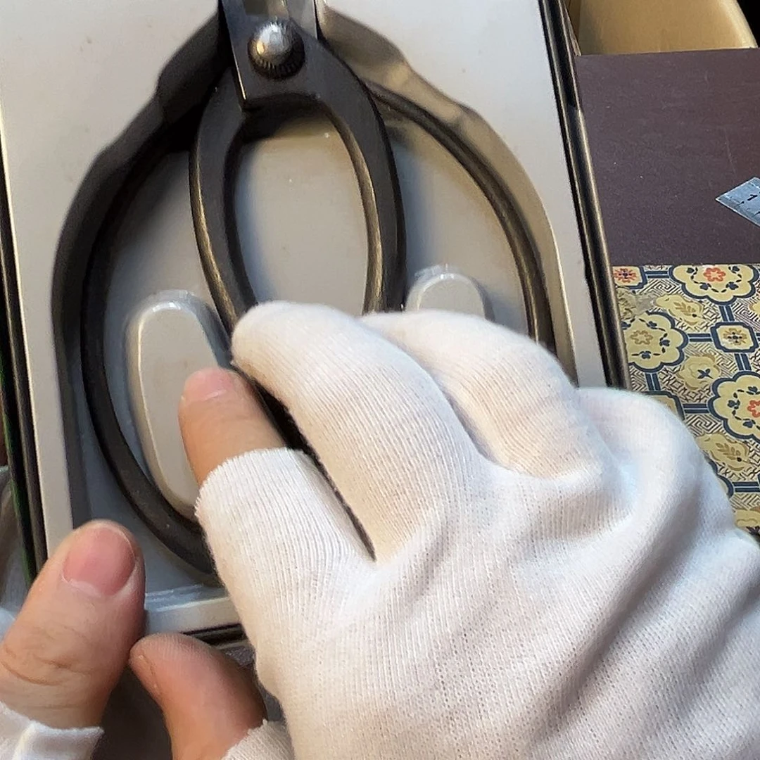 回流在一片废墟下被一抖*