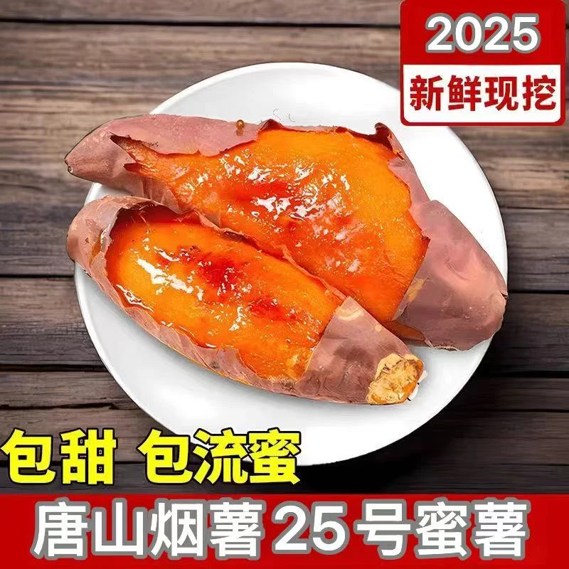 【坏果包赔】烟薯25号红薯 糖心烤蜜薯 沙土地种植更甜
