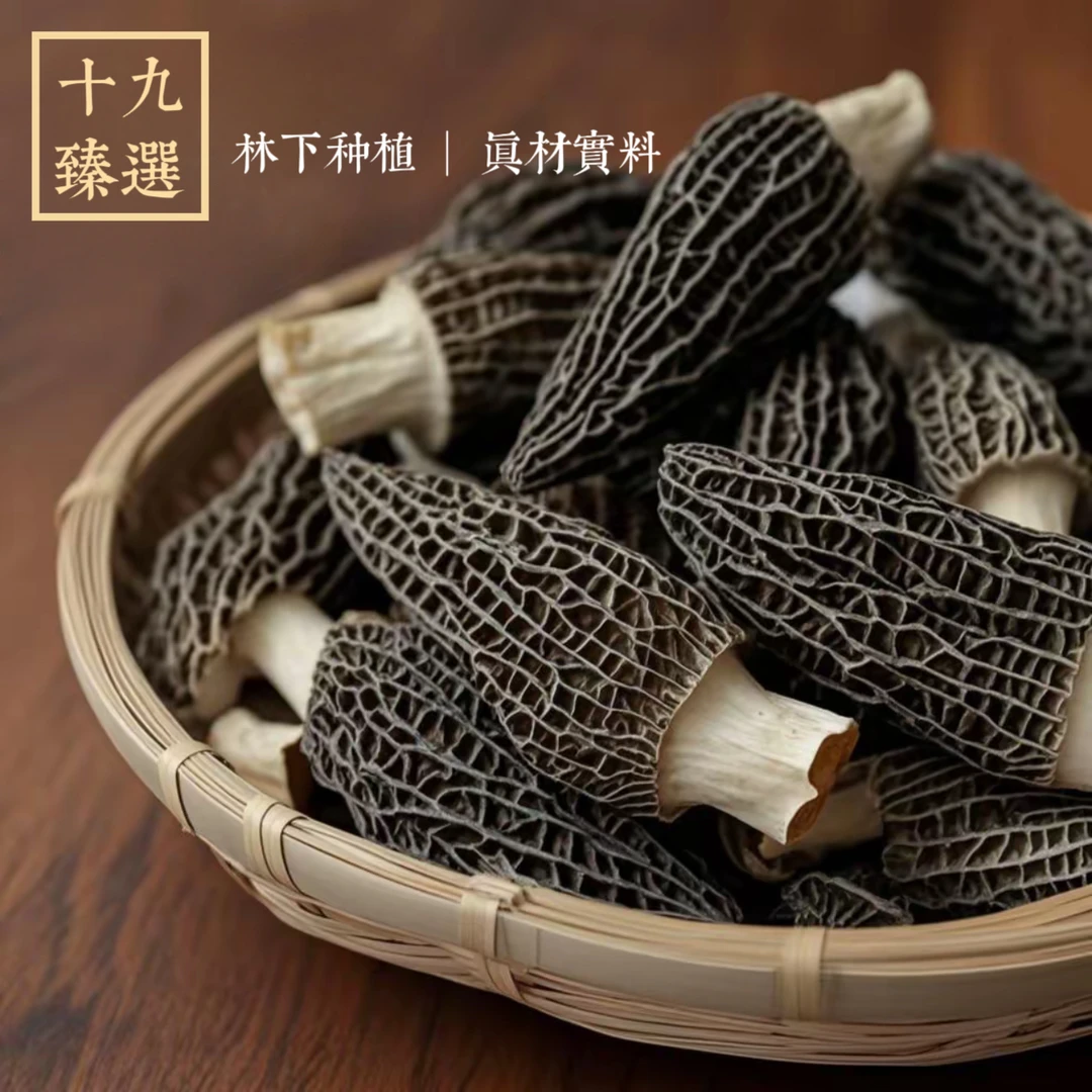 【精品特大号8-10cm】羊肚菌干货｜林下种植当季头茬羊肚菌煲汤佳品