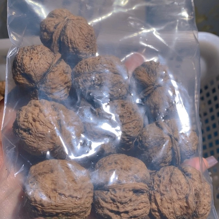 云南野生铁核寿星头