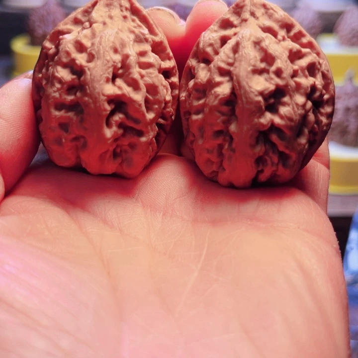 核桃11号车放漏漏漏