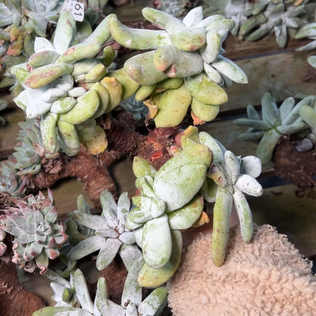 4363哈哈哈哈哈哈哈哈哈哈