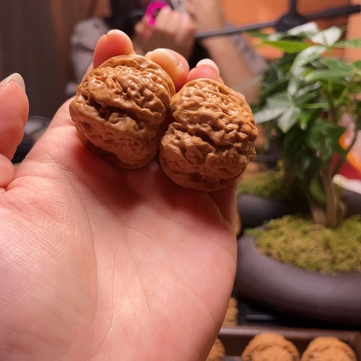 文玩核桃把件蛤蟆闪10