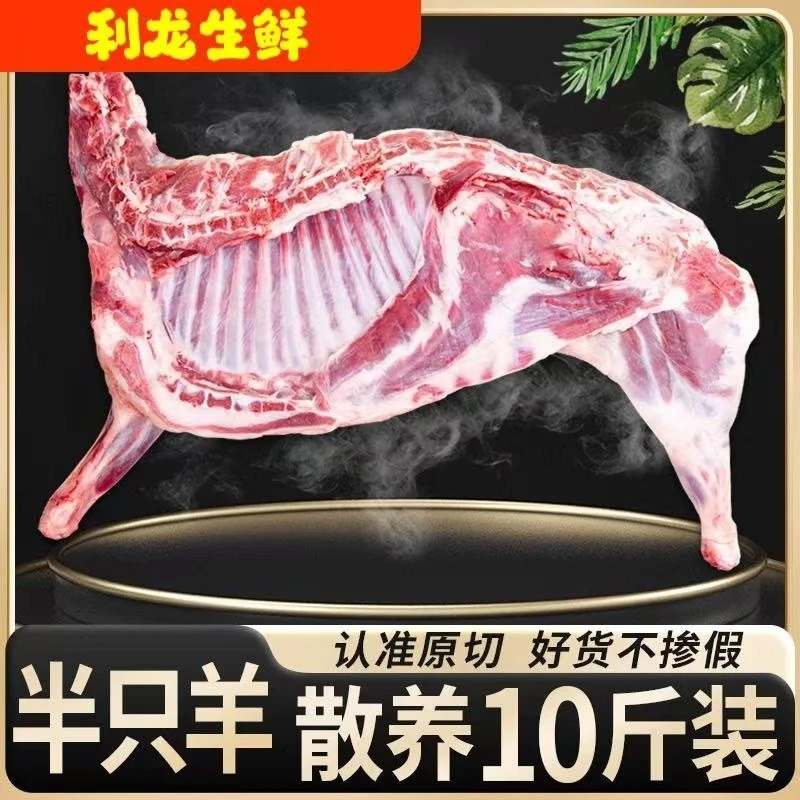 新鲜羊肉原切半只10斤羊肋排羊腿烧烤火锅食材不膻不腥顺丰包邮