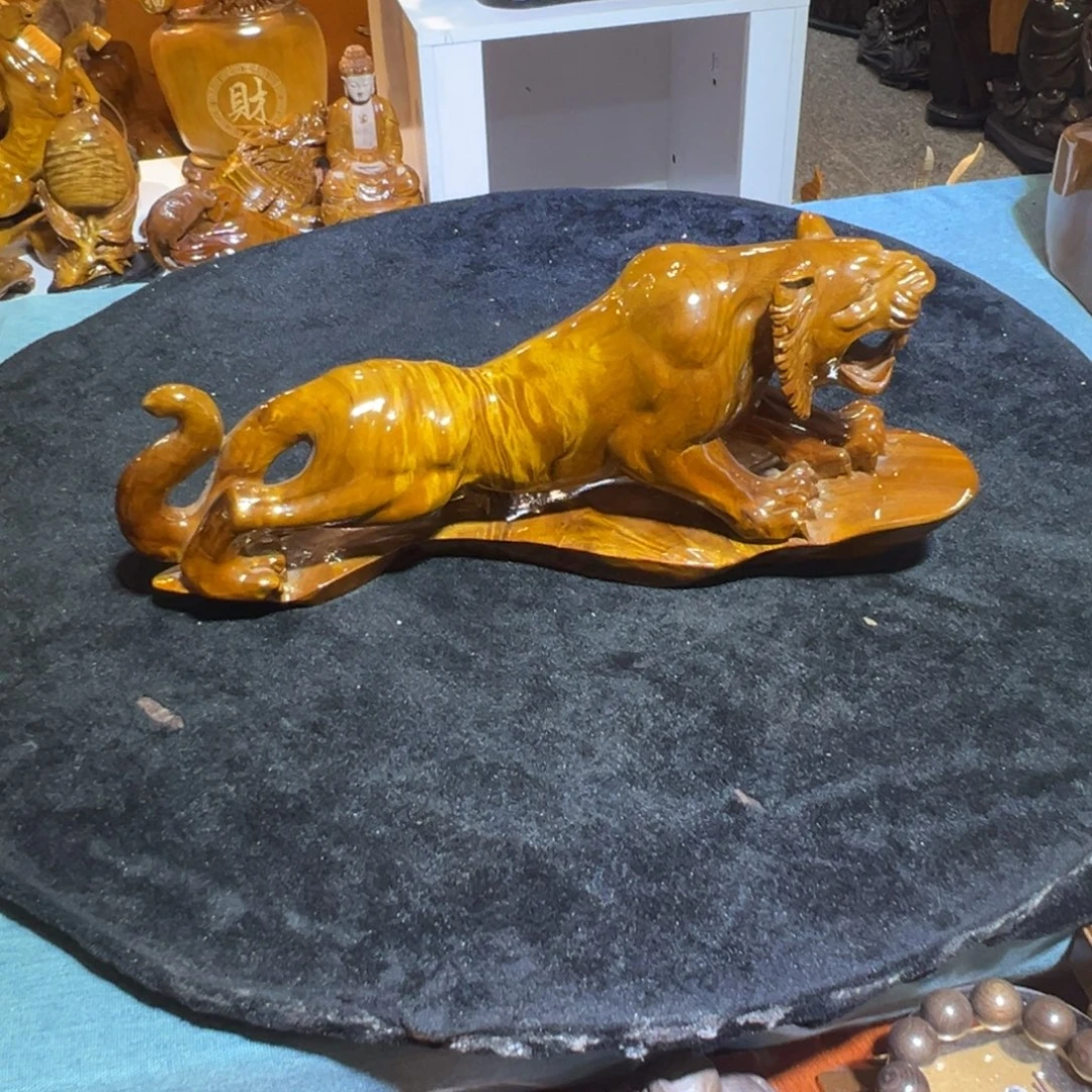 金丝楠金丝楠木小叶桢楠老虎