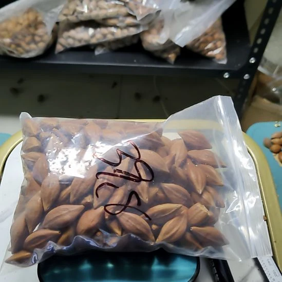 十***.吊坠橄榄核三角核散籽