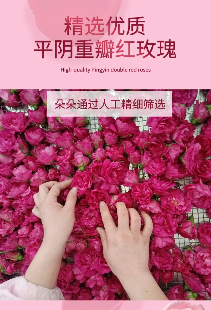 重瓣红玫瑰花粉