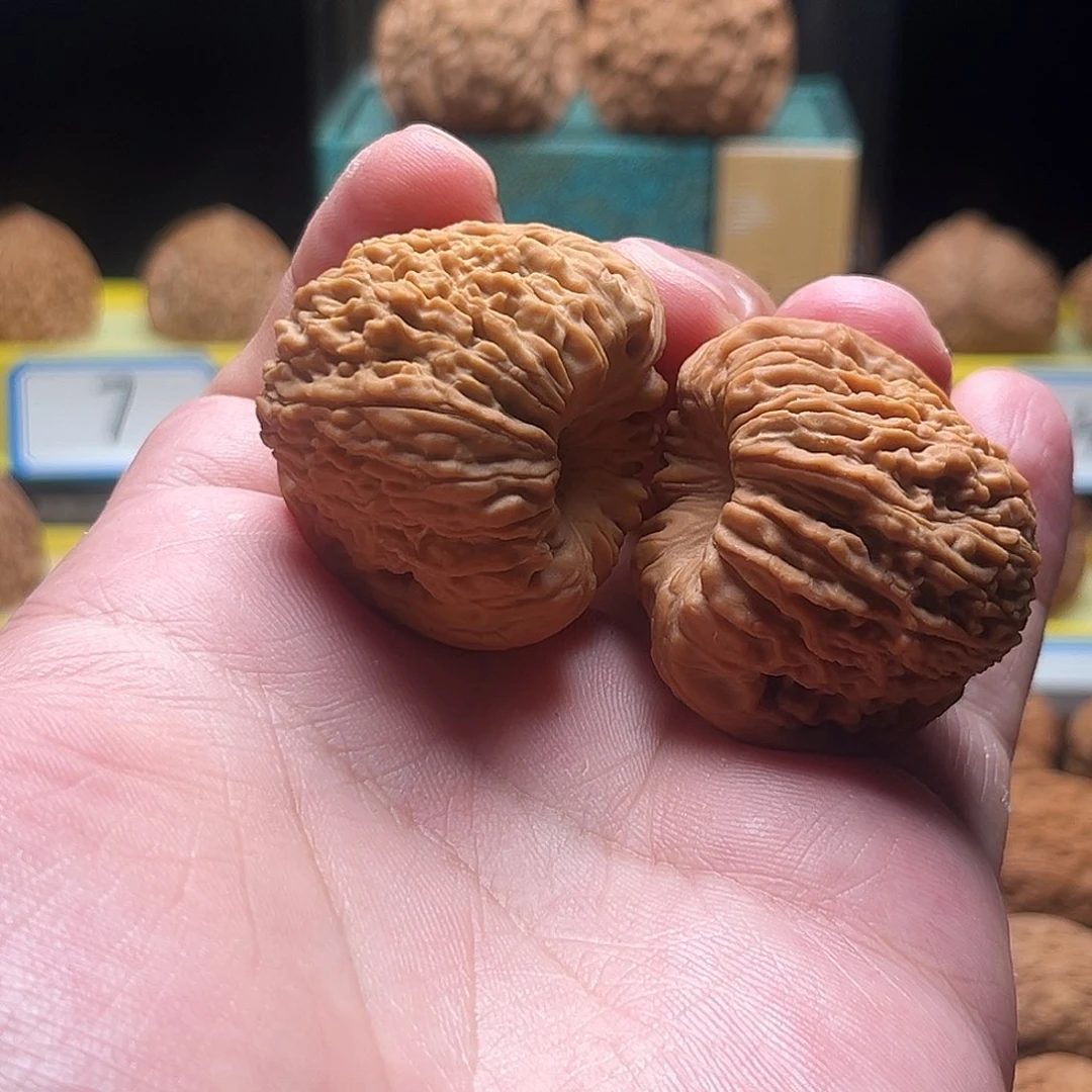 文玩核桃把件涿鹿团子