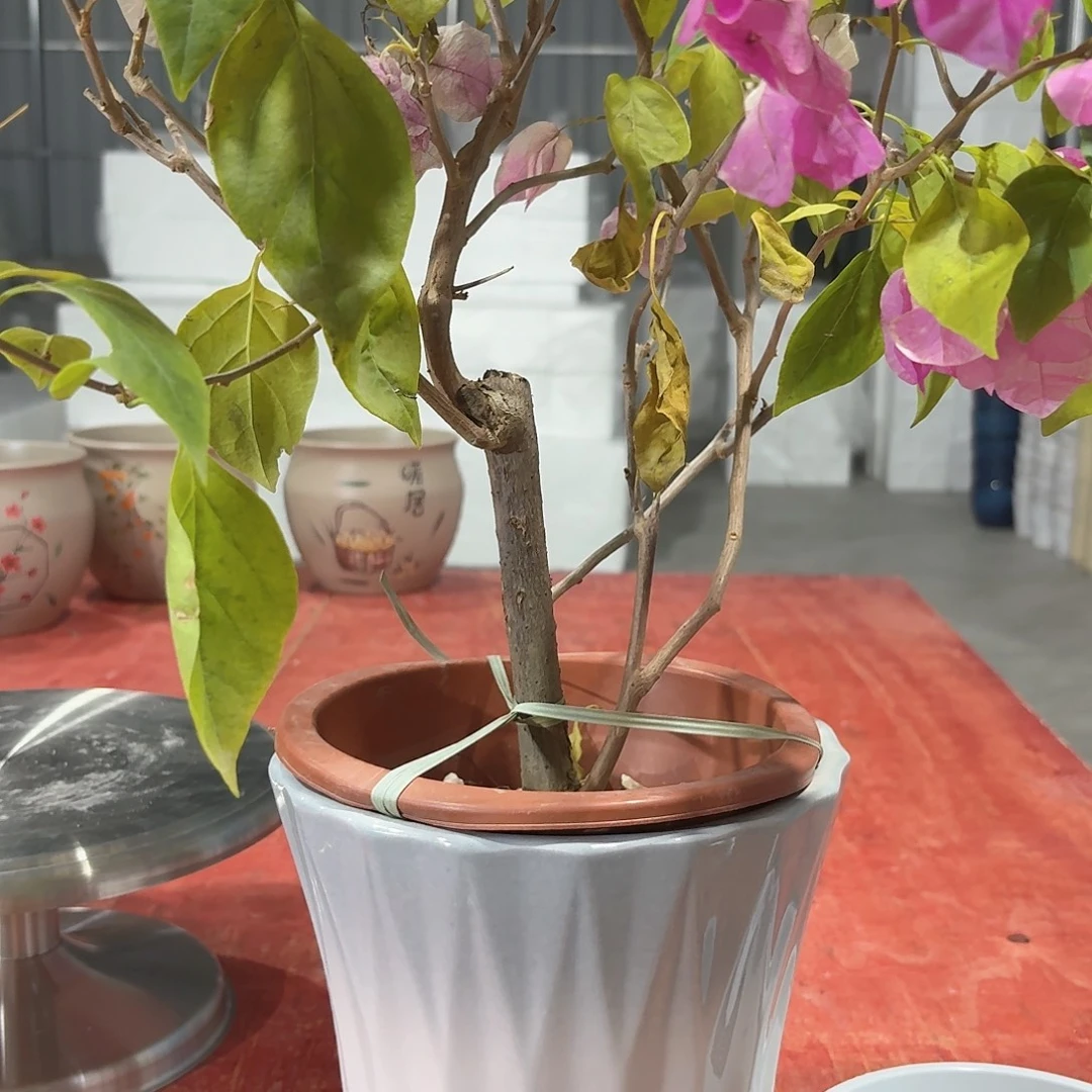陶瓷花盆渐变灰小蛮腰口径20高度20