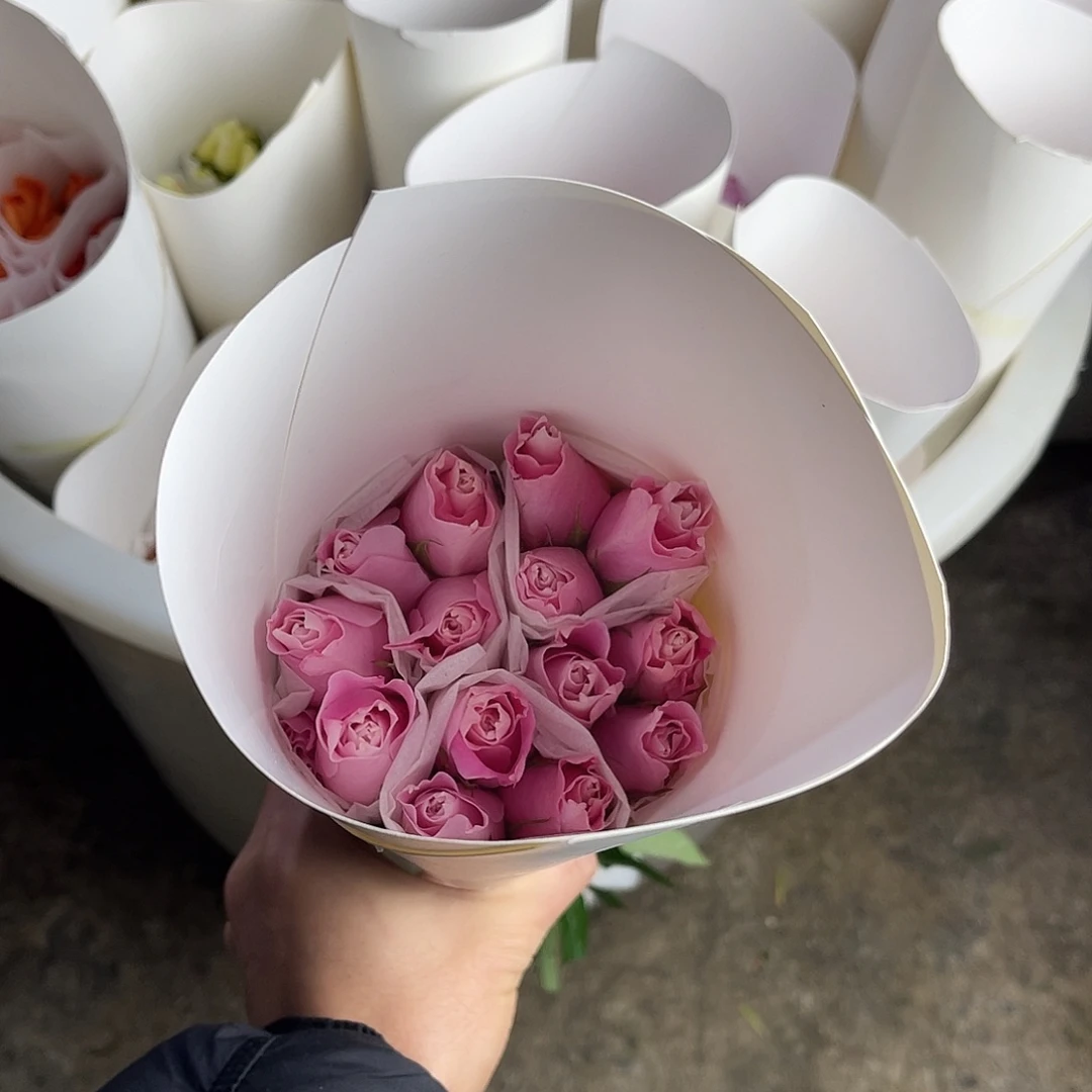 全部花苞醒目（沉默的爱）一扎