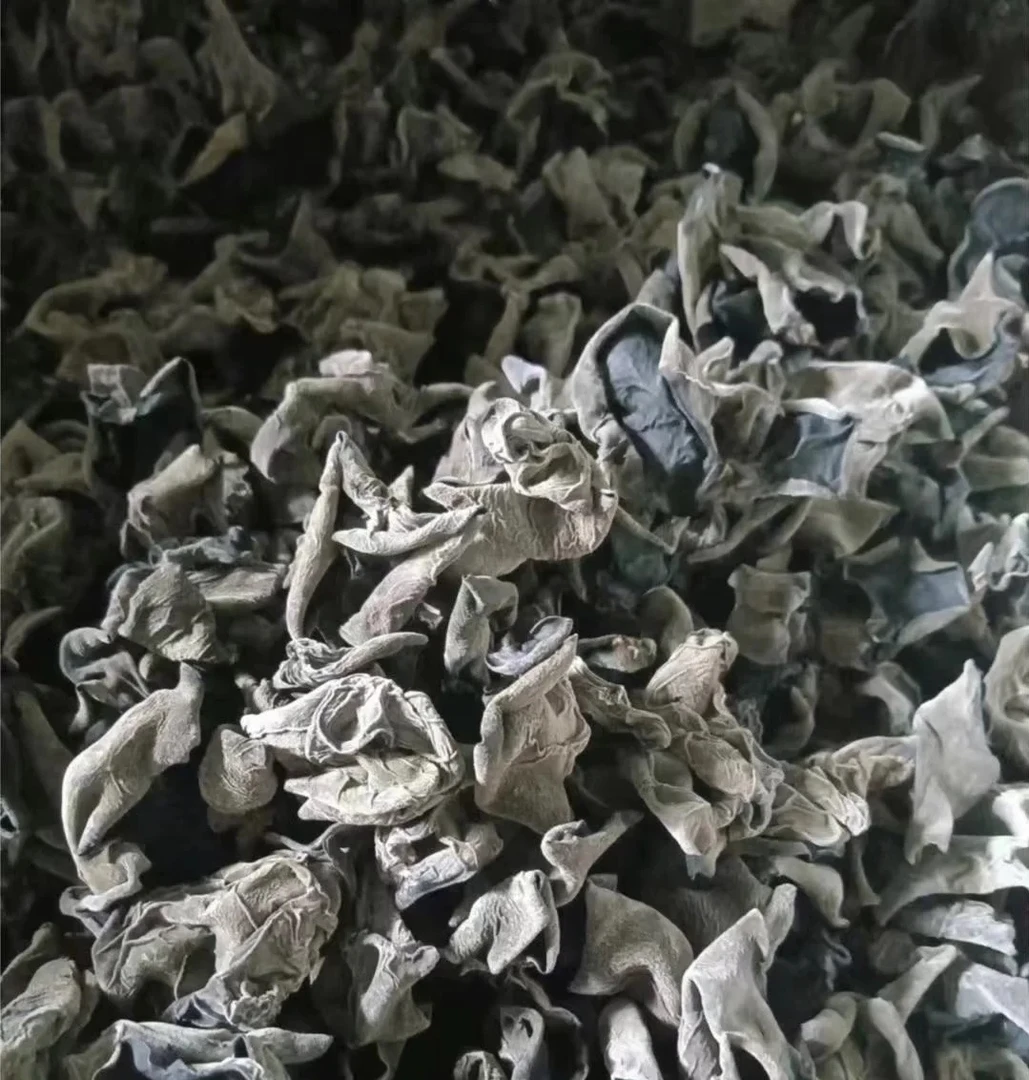 东北木耳小木耳1.5纯干货无硫无根正宗特级黑木耳东北黑木耳