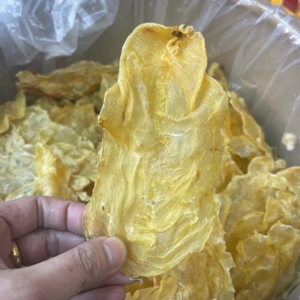 广东滋补 吴晓薇 30头蜘蛛片 花胶