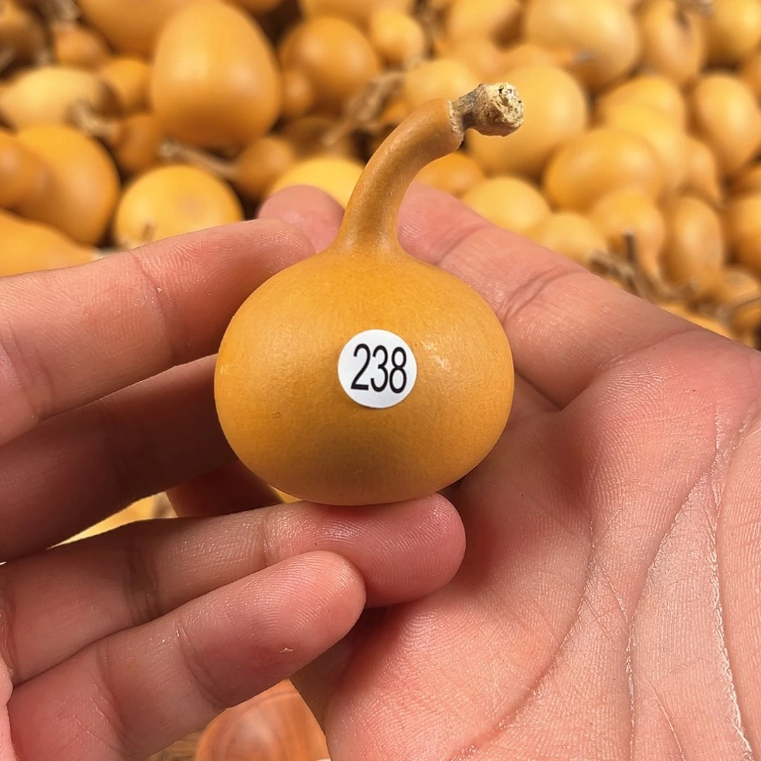 四葫芦葫芦葫芦238