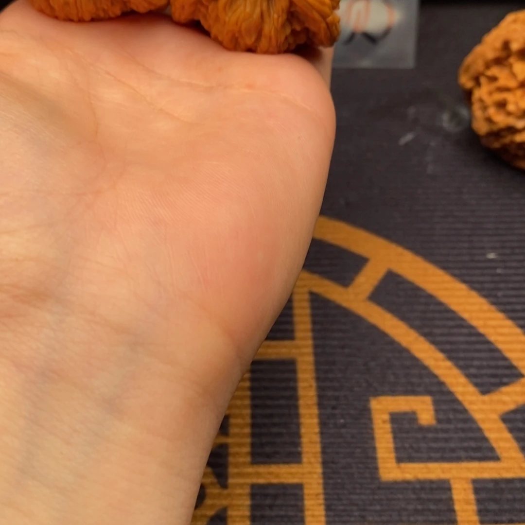 愿***虞吊坠文玩核桃白狮子