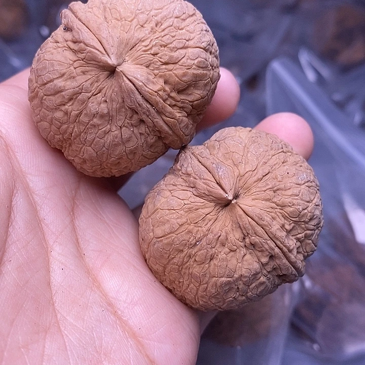 把件文玩核桃   50