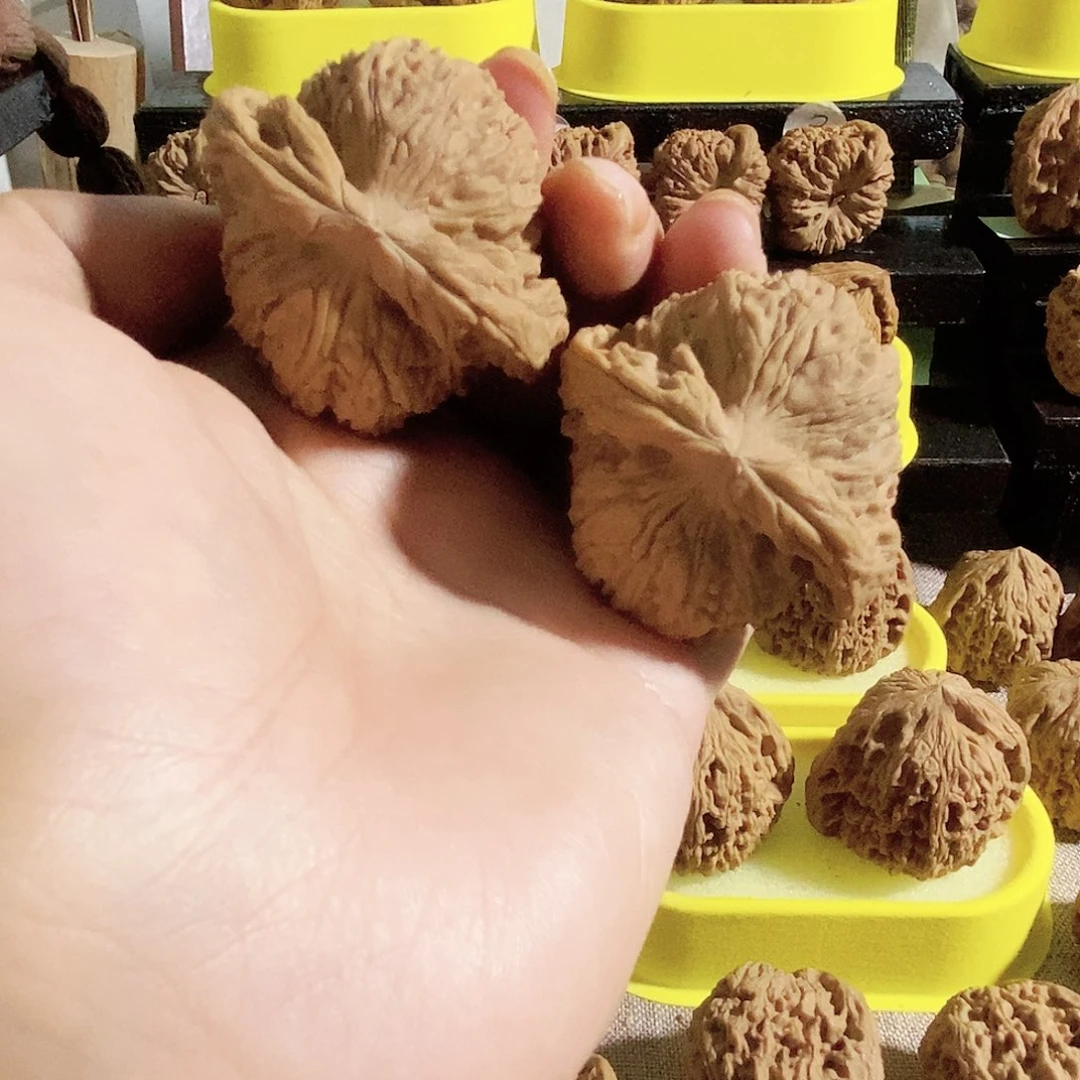 木质类今天的天气真的很