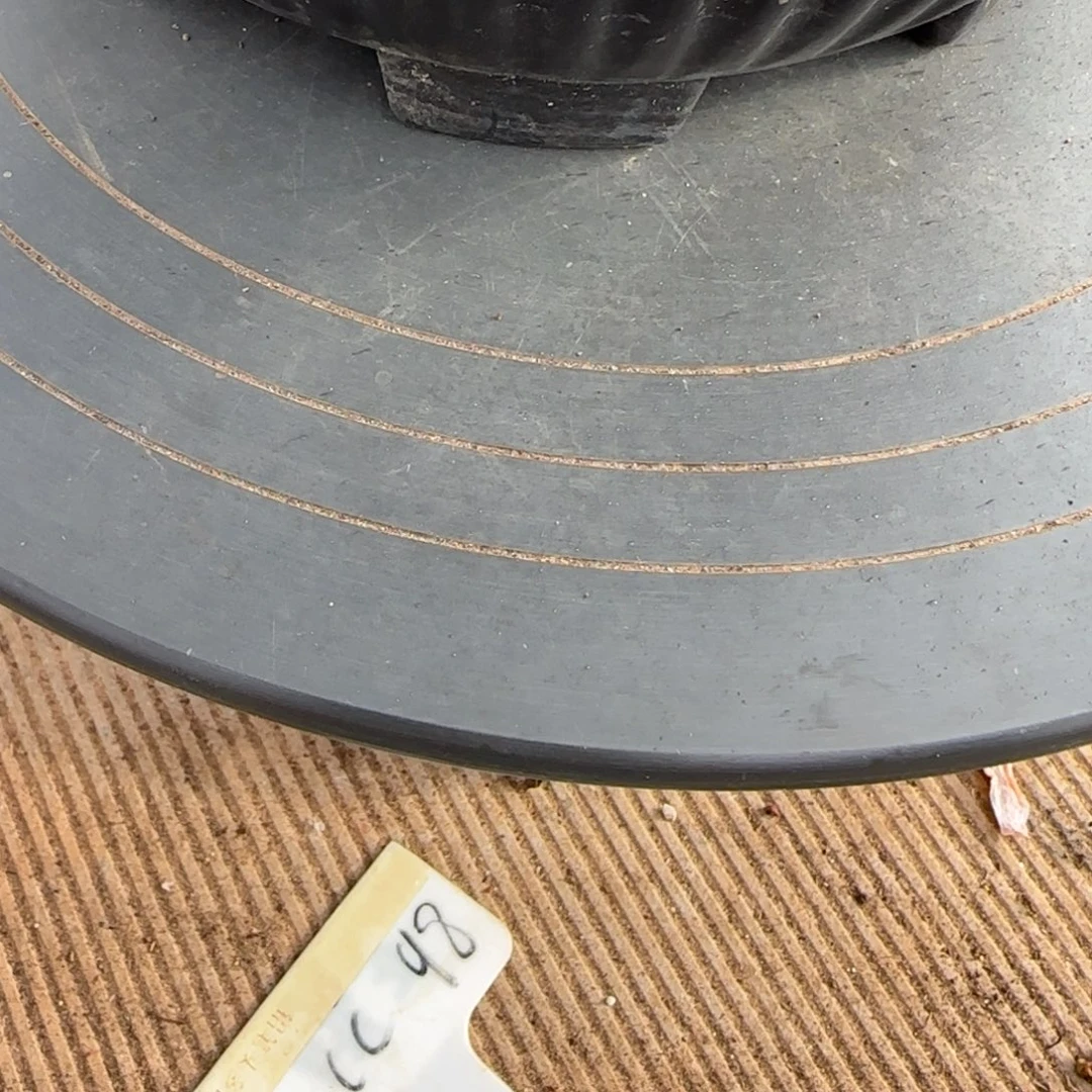 ღ****        奶茶10头多肉