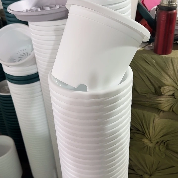 四季3#口径21白色10个无托