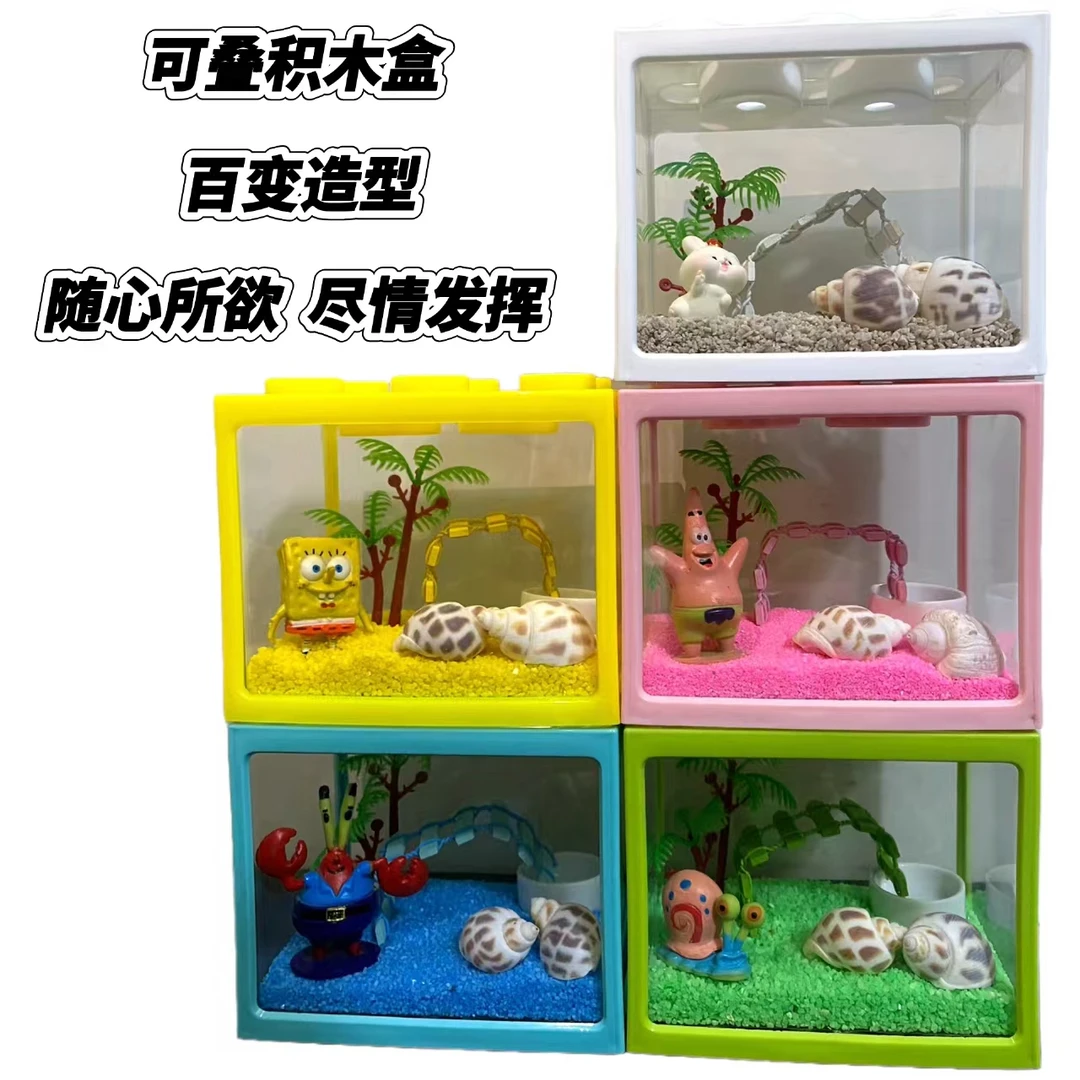 寄居蟹活体饲养套装儿童礼物桌面萌宠饲养盒