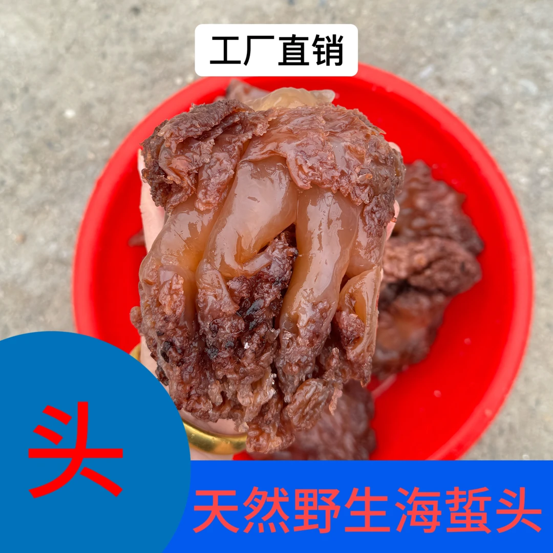 【亿诺海蜇】 天然野生海蜇整头 五斤 （整个海蜇头都