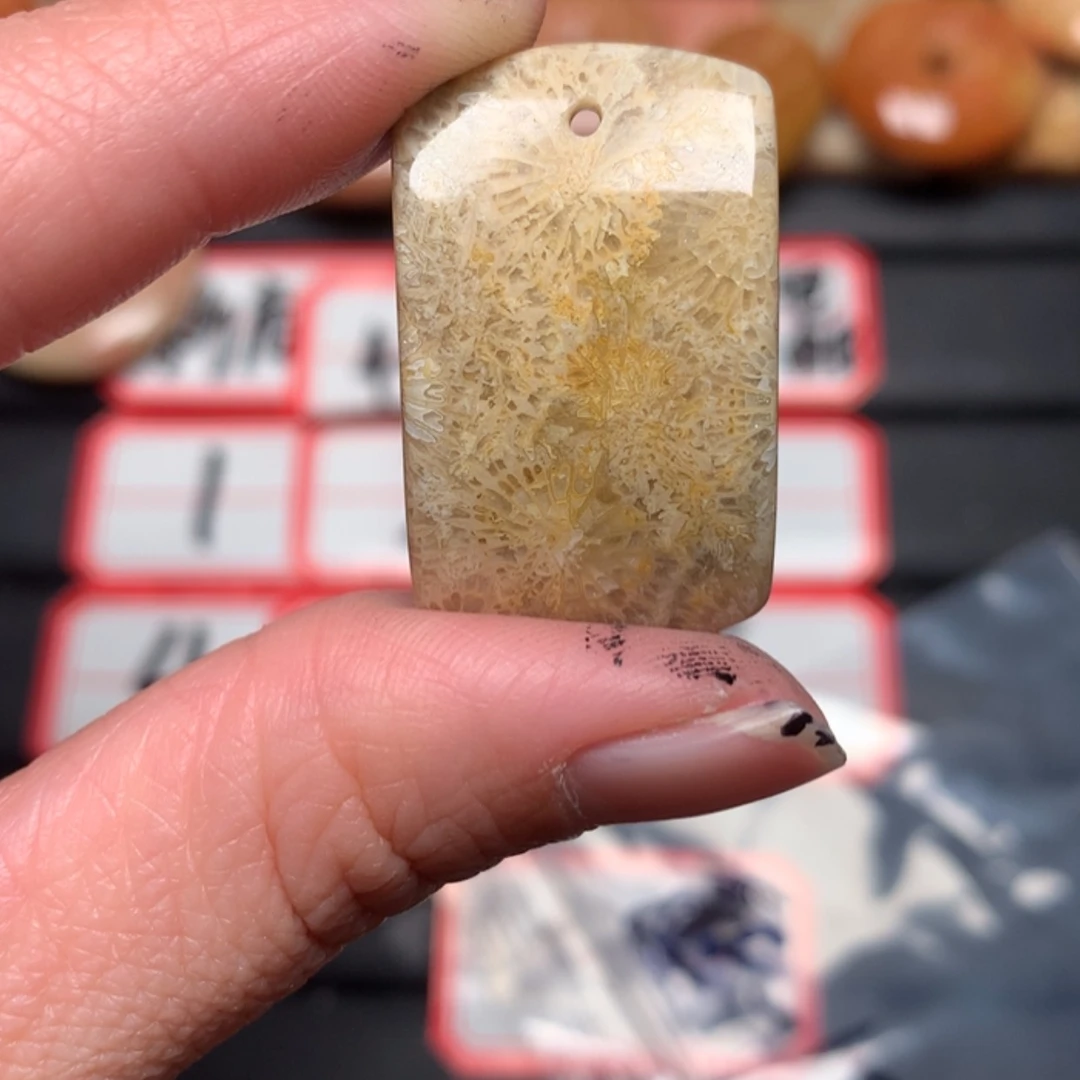 【闪购商品】硅化玉颈饰未镶嵌L***理