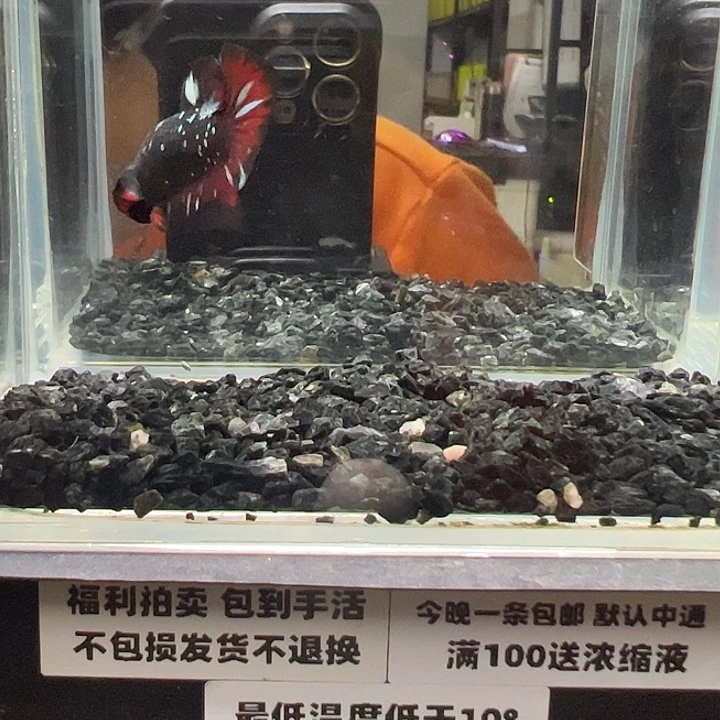 斗鱼跑单拉黑24日56