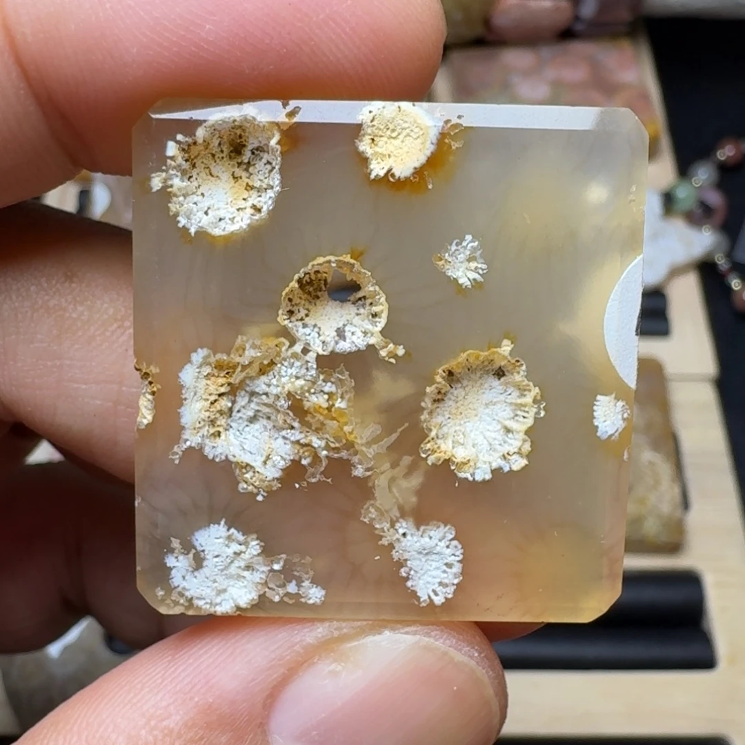 未镶嵌纯天然色有机玉石保真色硅化玉